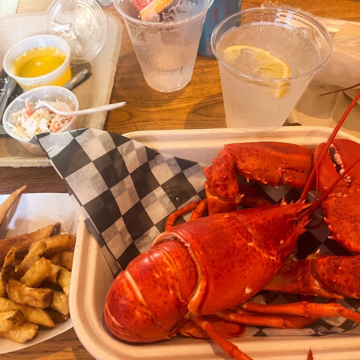 Ship Maine Lobster Anywhere